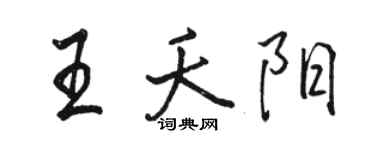 骆恒光王夭阳行书个性签名怎么写