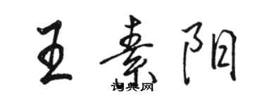 骆恒光王素阳行书个性签名怎么写