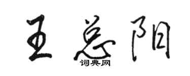 骆恒光王总阳行书个性签名怎么写