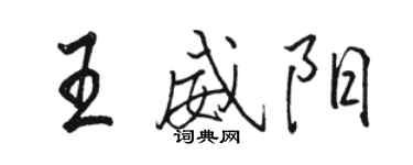 骆恒光王威阳行书个性签名怎么写