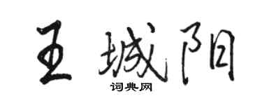 骆恒光王城阳行书个性签名怎么写