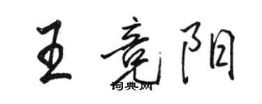 骆恒光王竞阳行书个性签名怎么写
