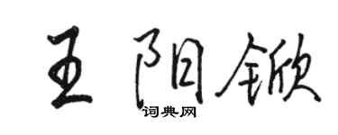骆恒光王阳锨行书个性签名怎么写