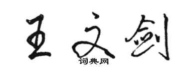 骆恒光王文剑行书个性签名怎么写