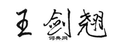 骆恒光王剑翘行书个性签名怎么写