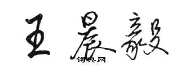 骆恒光王晨毅行书个性签名怎么写