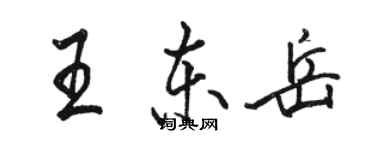 骆恒光王东岳行书个性签名怎么写
