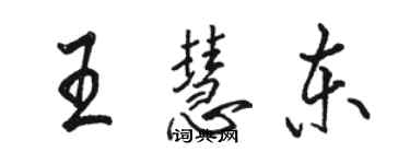 骆恒光王慧东行书个性签名怎么写