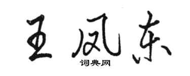 骆恒光王凤东行书个性签名怎么写