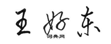 骆恒光王好东行书个性签名怎么写