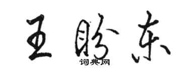 骆恒光王盼东行书个性签名怎么写