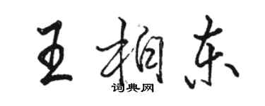 骆恒光王柏东行书个性签名怎么写