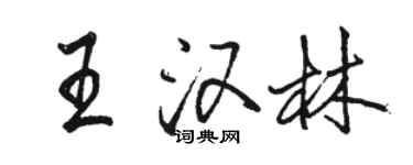 骆恒光王汉林行书个性签名怎么写