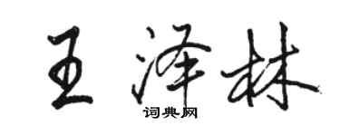 骆恒光王泽林行书个性签名怎么写