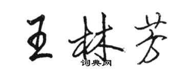 骆恒光王林芳行书个性签名怎么写