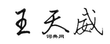 骆恒光王天威行书个性签名怎么写