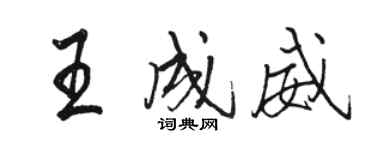 骆恒光王成威行书个性签名怎么写