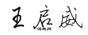 骆恒光王启威行书个性签名怎么写