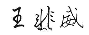 骆恒光王非威行书个性签名怎么写