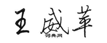 骆恒光王威苹行书个性签名怎么写