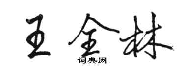 骆恒光王全林行书个性签名怎么写