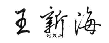 骆恒光王新海行书个性签名怎么写