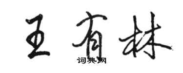骆恒光王有林行书个性签名怎么写