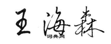 骆恒光王海森行书个性签名怎么写