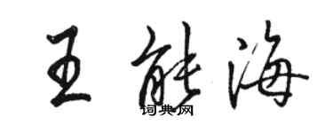 骆恒光王能海行书个性签名怎么写