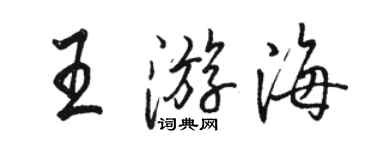 骆恒光王游海行书个性签名怎么写