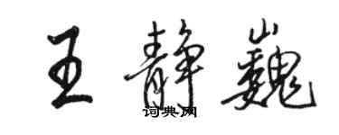 骆恒光王静巍行书个性签名怎么写