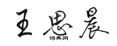 骆恒光王思晨行书个性签名怎么写