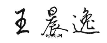 骆恒光王晨逸行书个性签名怎么写