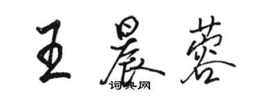 骆恒光王晨蓉行书个性签名怎么写