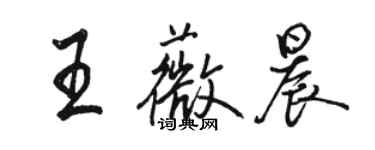 骆恒光王薇晨行书个性签名怎么写