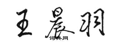 骆恒光王晨羽行书个性签名怎么写