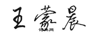 骆恒光王蒙晨行书个性签名怎么写