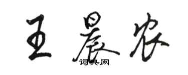 骆恒光王晨农行书个性签名怎么写