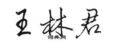 骆恒光王林君行书个性签名怎么写