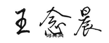 骆恒光王念晨行书个性签名怎么写