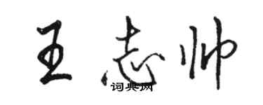 骆恒光王志帅行书个性签名怎么写