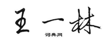 骆恒光王一林行书个性签名怎么写