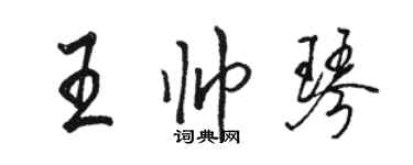骆恒光王帅琴行书个性签名怎么写