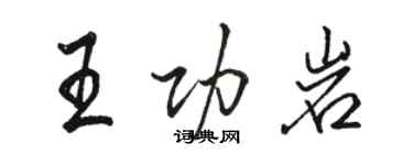 骆恒光王功岩行书个性签名怎么写