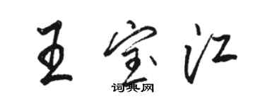 骆恒光王宝江行书个性签名怎么写