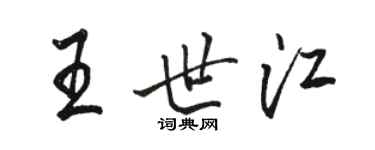 骆恒光王世江行书个性签名怎么写
