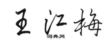 骆恒光王江梅行书个性签名怎么写