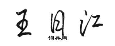 骆恒光王日江行书个性签名怎么写