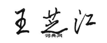 骆恒光王芝江行书个性签名怎么写