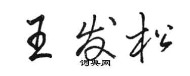 骆恒光王发松行书个性签名怎么写